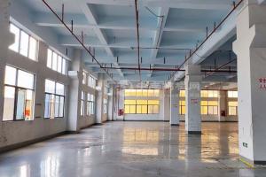 首月租金立減10% 公明上村0平方一樓帶裝修廠房出租  層高6米帶牛角